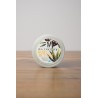 Body Butter